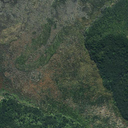 Satellite imagery of Rangitane Pa, NZ