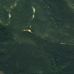 Satellite imagery of Rangitane Pa, NZ