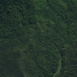 Satellite imagery of Tutaemahia Pa, NZ