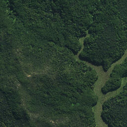 Satellite imagery of Tutaemahia Pa, NZ