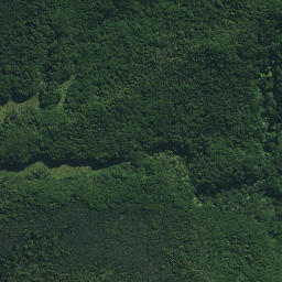Satellite imagery of Tutaemahia Pa, NZ