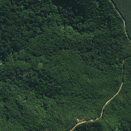 Satellite imagery of Kaiwhetu Pa, NZ