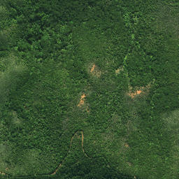 Satellite imagery of TE PAKI, NZ