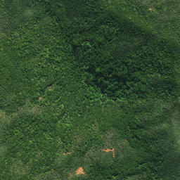 Satellite imagery of TE PAKI, NZ
