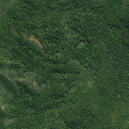 Satellite imagery of TE PAKI, NZ