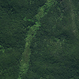 Satellite imagery of Rangitane Pa, NZ