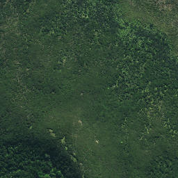 Satellite imagery of Rangitane Pa, NZ