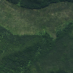 Satellite imagery of Rangitane Pa, NZ