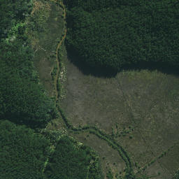 Satellite imagery of Pukenui Point, NZ