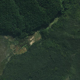 Satellite imagery of Pukenui Point, NZ