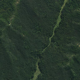 Satellite imagery of Pukenui Point, NZ