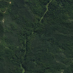 Satellite imagery of Tutaemahia Pa, NZ