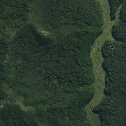 Satellite imagery of Tutaemahia Pa, NZ