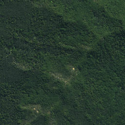 Satellite imagery of Tutaemahia Pa, NZ