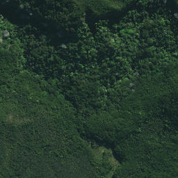 Satellite imagery of Ngapiri Pa, NZ