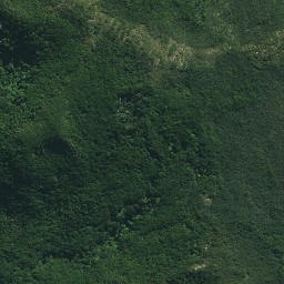 Satellite imagery of Ngapiri Pa, NZ