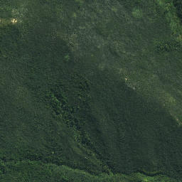 Satellite imagery of Ngapiri Pa, NZ