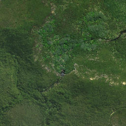Satellite imagery of Te Topito Head, NZ