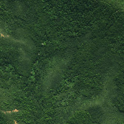 Satellite imagery of TE PAKI, NZ