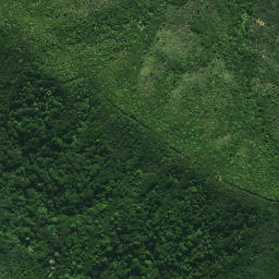 Satellite imagery of TE PAKI, NZ