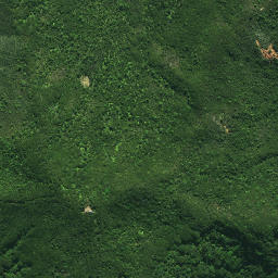 Satellite imagery of TE PAKI, NZ