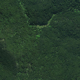 Satellite imagery of Rangitane Pa, NZ