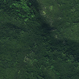 Satellite imagery of Rangitane Pa, NZ