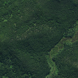 Satellite imagery of Rangitane Pa, NZ