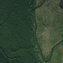 Satellite imagery of Pukenui Point, NZ