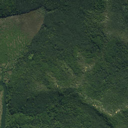 Satellite imagery of Pukenui Point, NZ