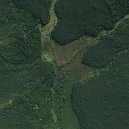 Satellite imagery of Pukenui Point, NZ