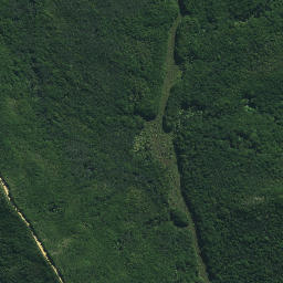 Satellite imagery of Ngapiri Pa, NZ