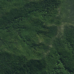 Satellite imagery of Ngapiri Pa, NZ