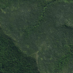 Satellite imagery of Ngapiri Pa, NZ