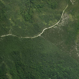 Satellite imagery of Te Topito Head, NZ