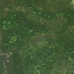 Satellite imagery of Te Topito Head, NZ