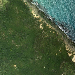 Satellite imagery of Te Topito Head, NZ