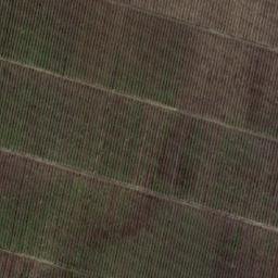 Satellite imagery of Cerrillo del Huique, CL