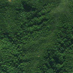 Satellite imagery of TE PAKI, NZ