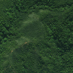 Satellite imagery of TE PAKI, NZ