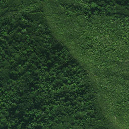 Satellite imagery of TE PAKI, NZ