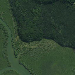 Satellite imagery of Waikirikiri Point, NZ