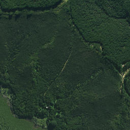 Satellite imagery of Waikirikiri Point, NZ