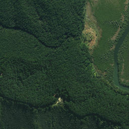 Satellite imagery of Waikirikiri Point, NZ
