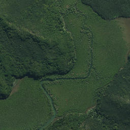 Satellite imagery of Maungaroa Point, NZ