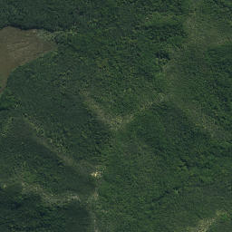 Satellite imagery of Maungaroa Point, NZ