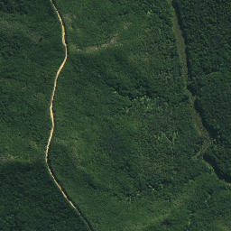 Satellite imagery of Ngapiri Pa, NZ