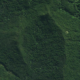 Satellite imagery of Ngapiri Pa, NZ