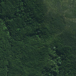 Satellite imagery of Ngapiri Pa, NZ