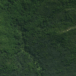 Satellite imagery of Mokaikai Pa, NZ
